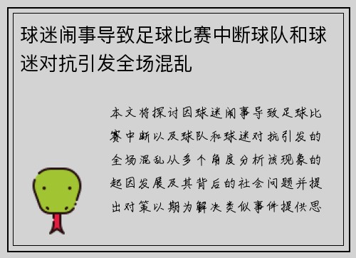 球迷闹事导致足球比赛中断球队和球迷对抗引发全场混乱