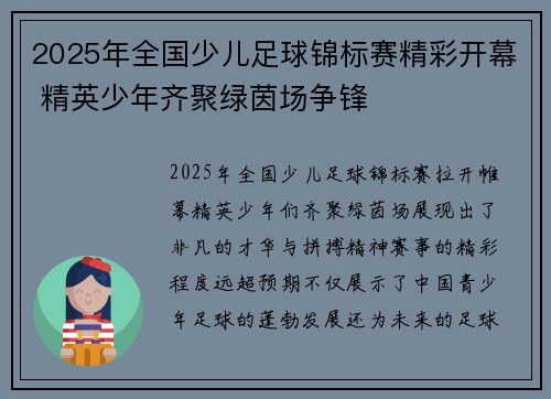 2025年全国少儿足球锦标赛精彩开幕 精英少年齐聚绿茵场争锋