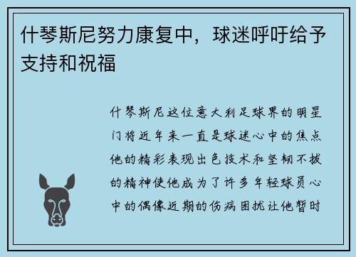 什琴斯尼努力康复中，球迷呼吁给予支持和祝福